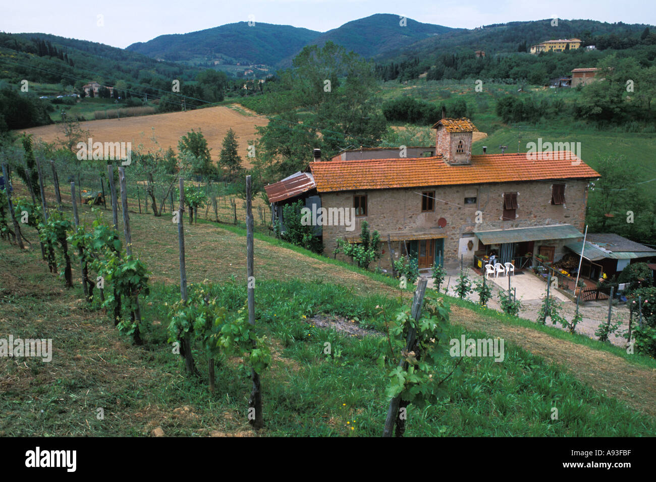Bella casa e vigna estste Chianti in Toscana Italia Foto Stock