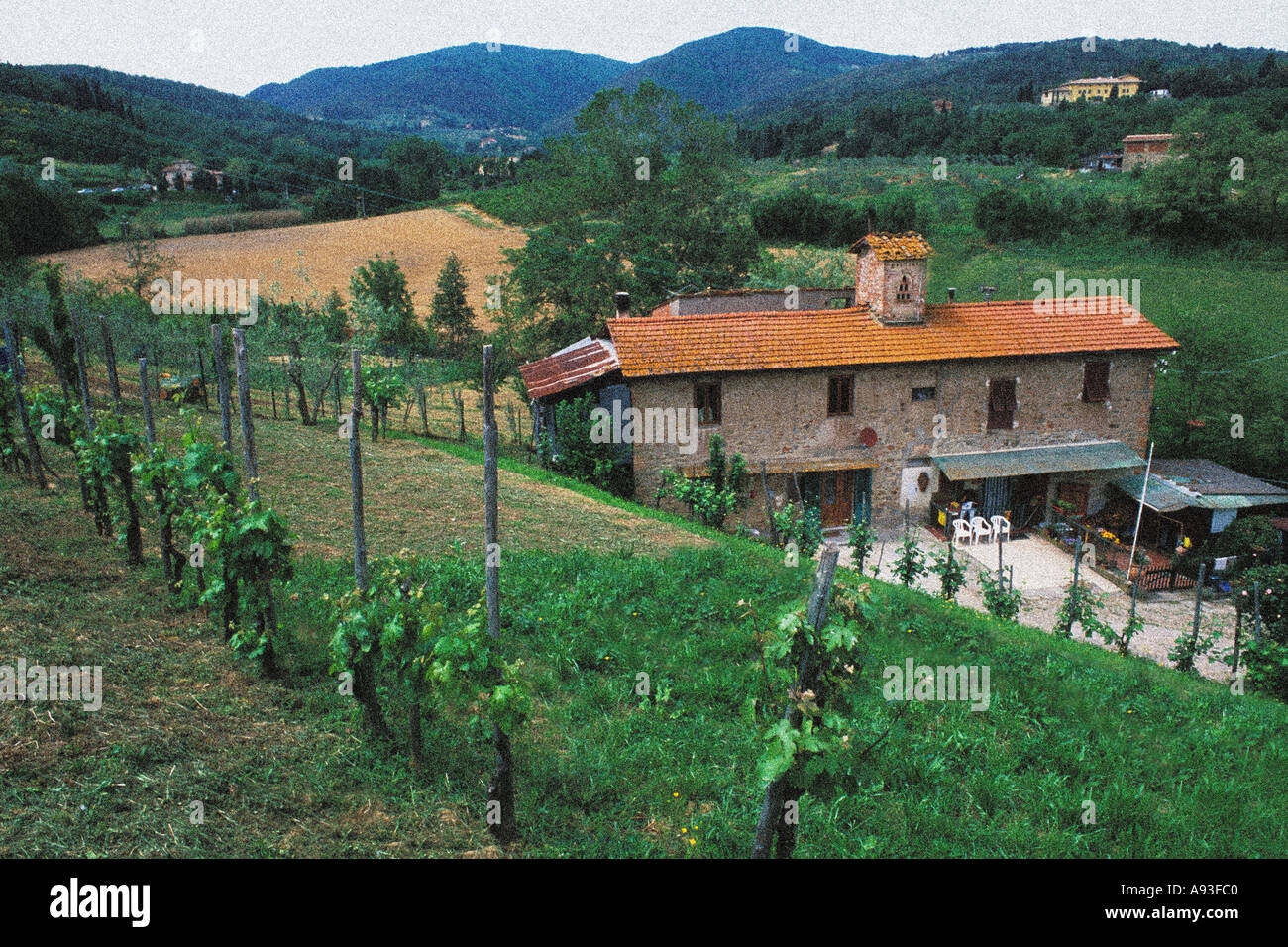 Splendide colline e vigne home del Chianti in Toscana Italia Foto Stock