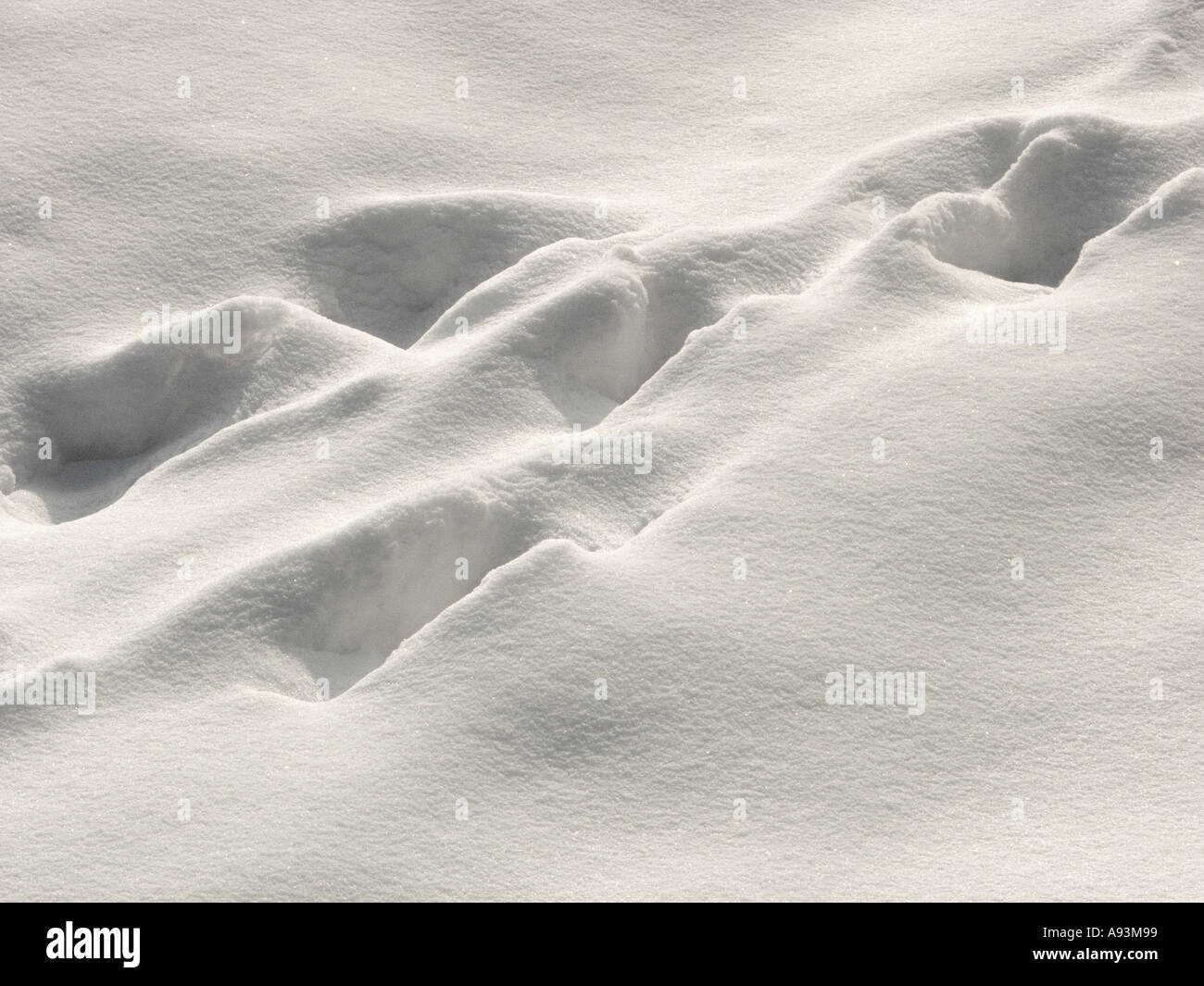 Orme nella neve piedi piedi stampe footprint inverno ghiaccio freddo gelido sun soleggiata polvere di nizza Foto Stock