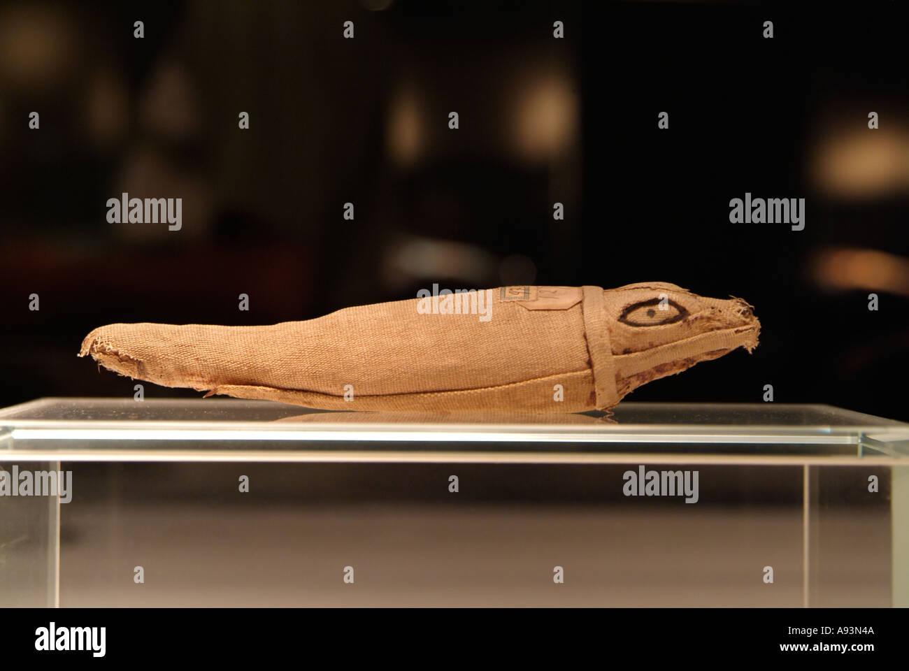 Mamma di un bambino il coccodrillo, Museo della Mummificazione, Luxor, Egitto Foto Stock
