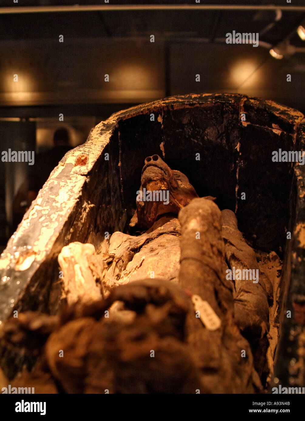 La mummia di una scimmia, mummificazione Museum, Luxor, Egitto Foto Stock