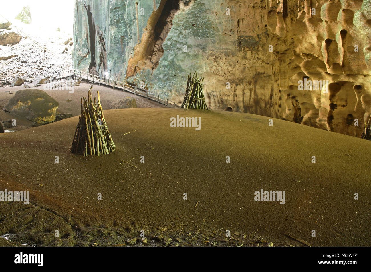 Grotta Gomantong Sabah Borneo Foto Stock