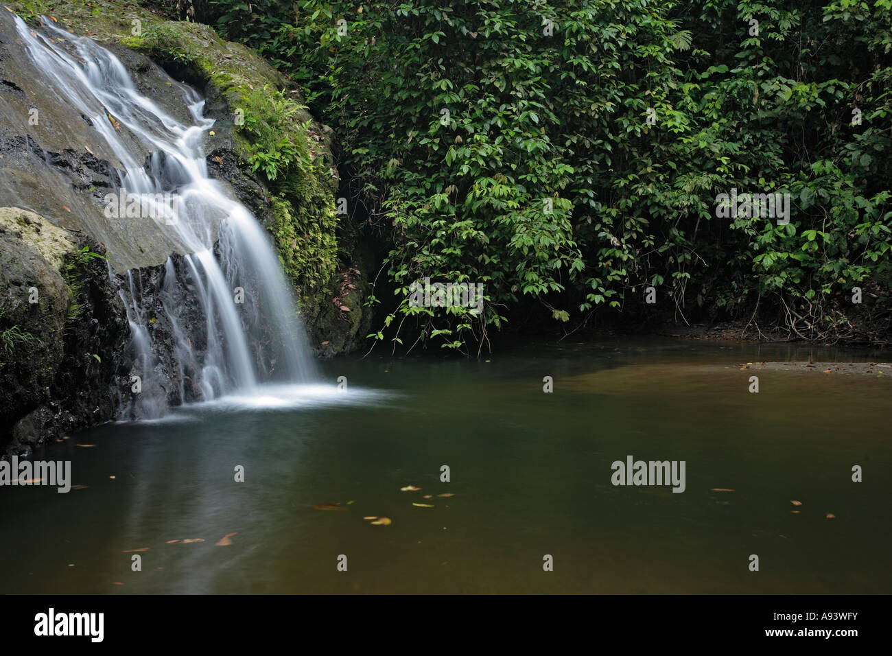 Cascata di foresta di Danum Valley Sabah Borneo Foto Stock