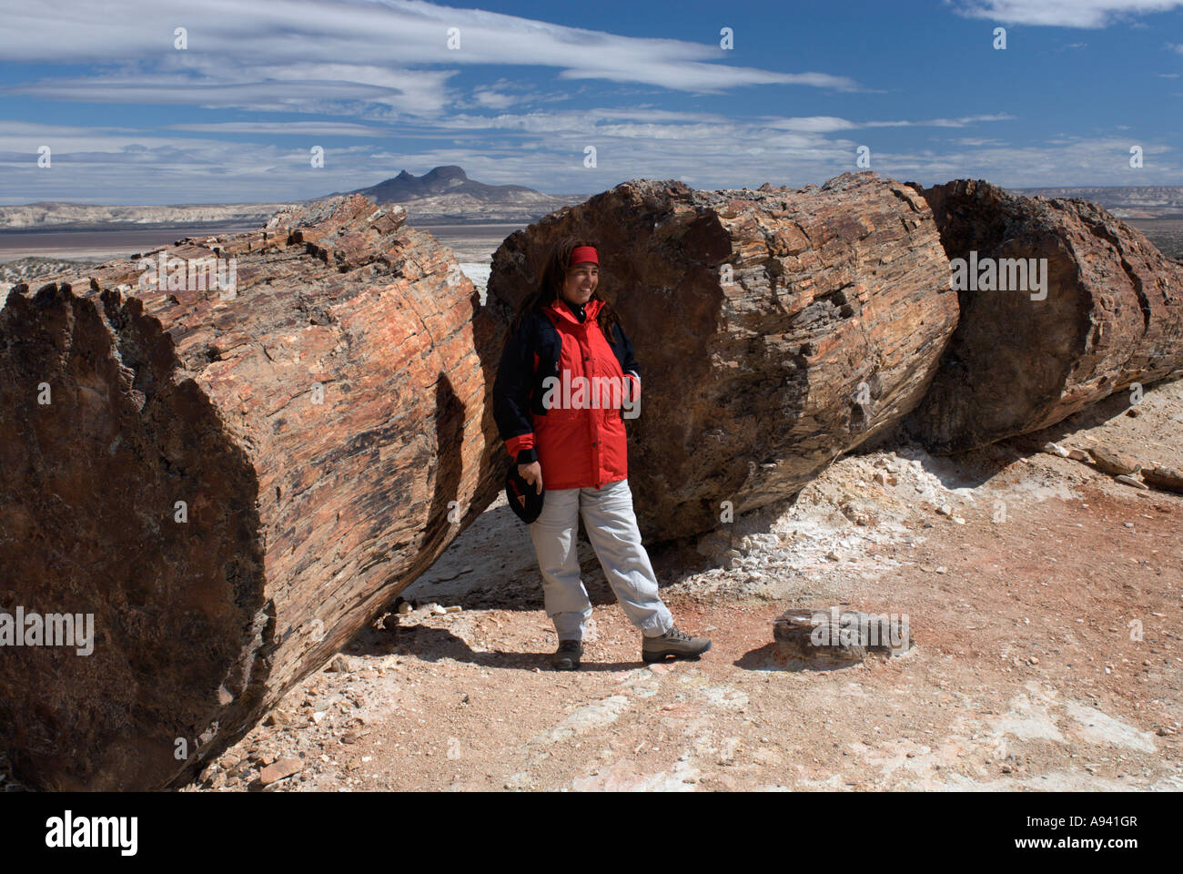La Foresta Pietrificata Il Monumento Nacional Bosques Petrificados Patagonia Provincia Di Santa Cruz Argentina Foto Stock Alamy