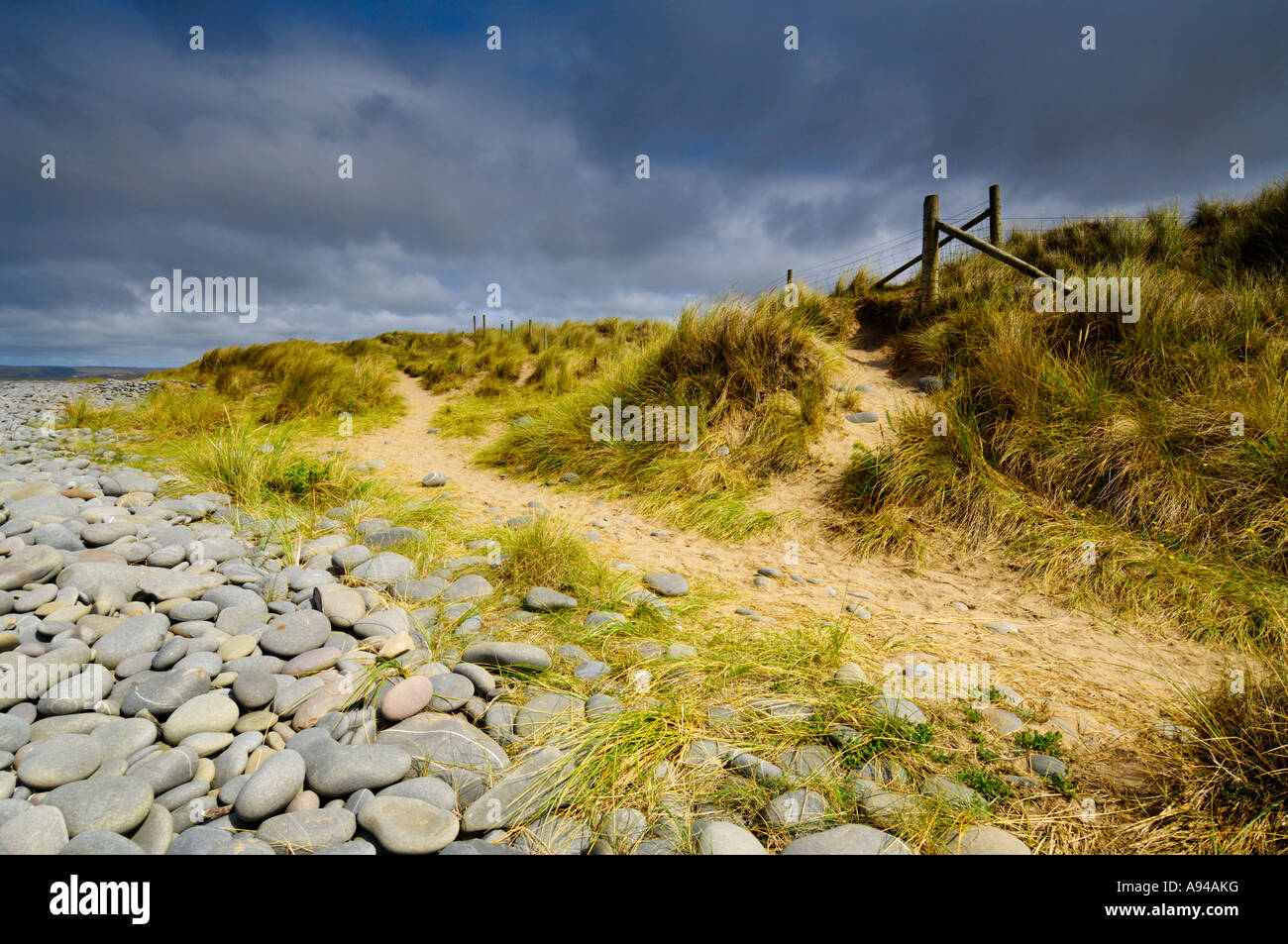 Le dune di sabbia a Northam Burrows sulla costa sud-ovest il percorso nei pressi di Condino Nel Devon, in Inghilterra. Foto Stock
