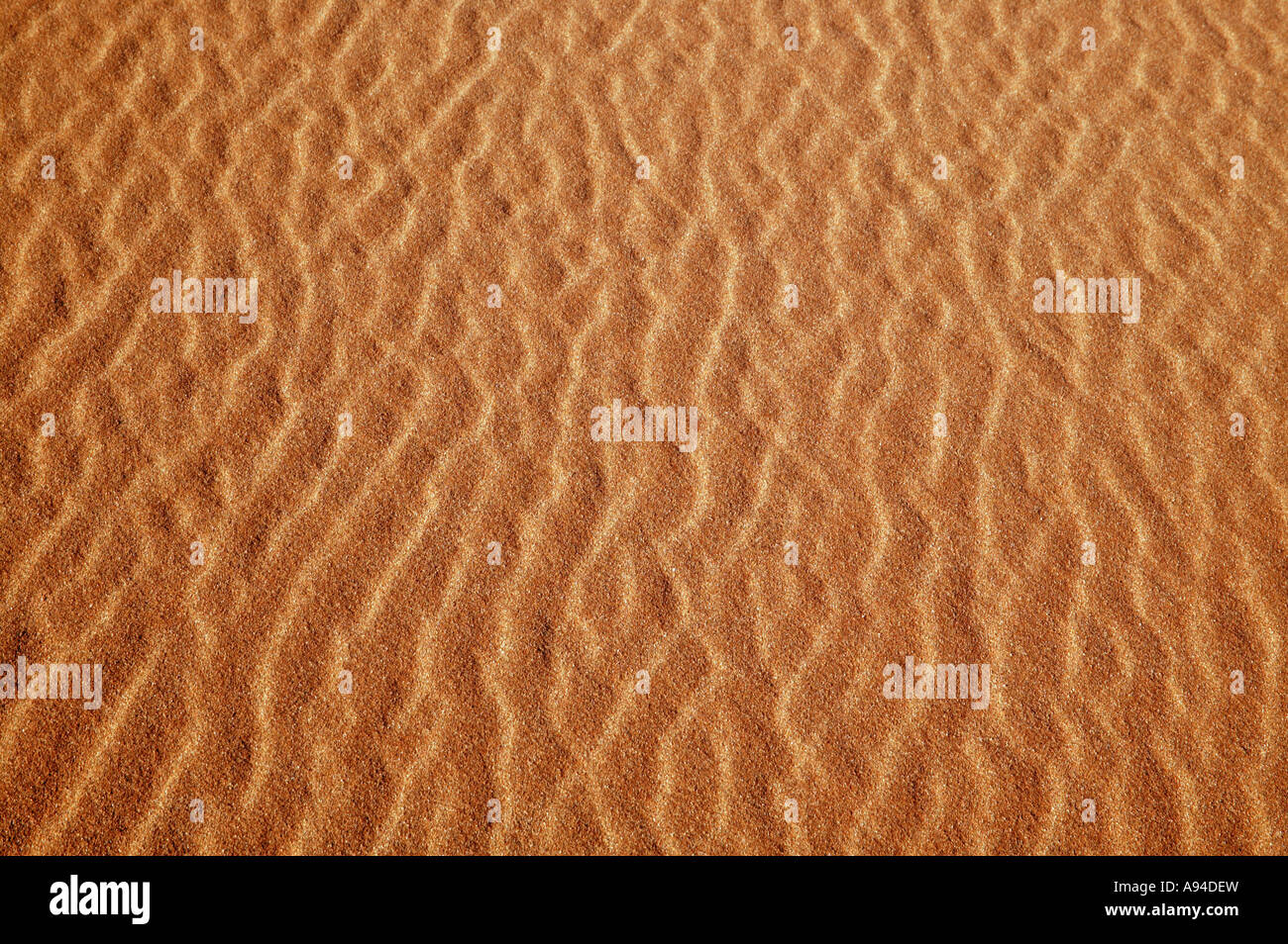 Increspature di sabbia nelle dune rosse del deserto del Namib Sossusvlei Namibia Foto Stock