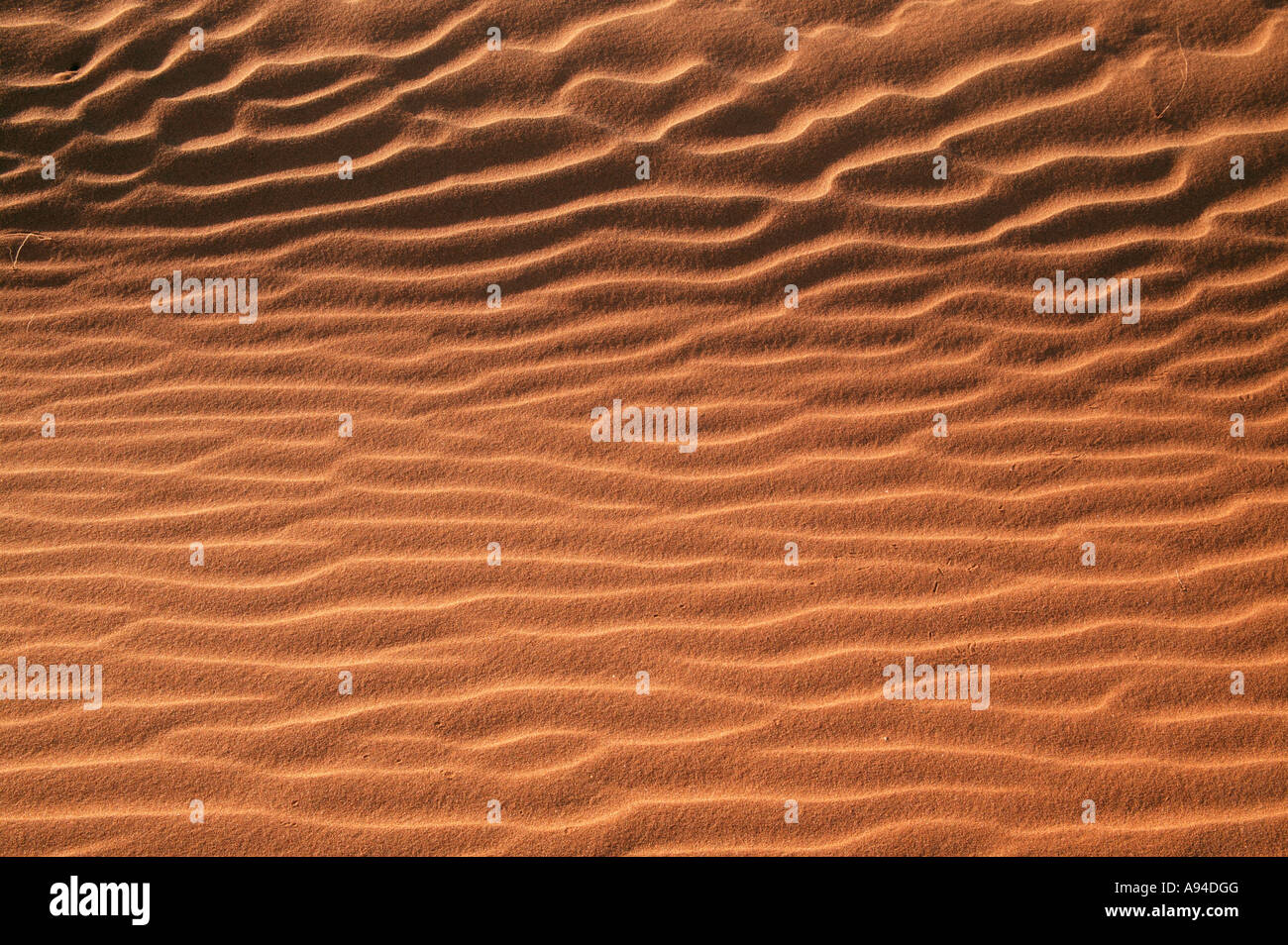 Increspature di sabbia nelle dune rosse del deserto del Namib Sossusvlei Namibia Foto Stock