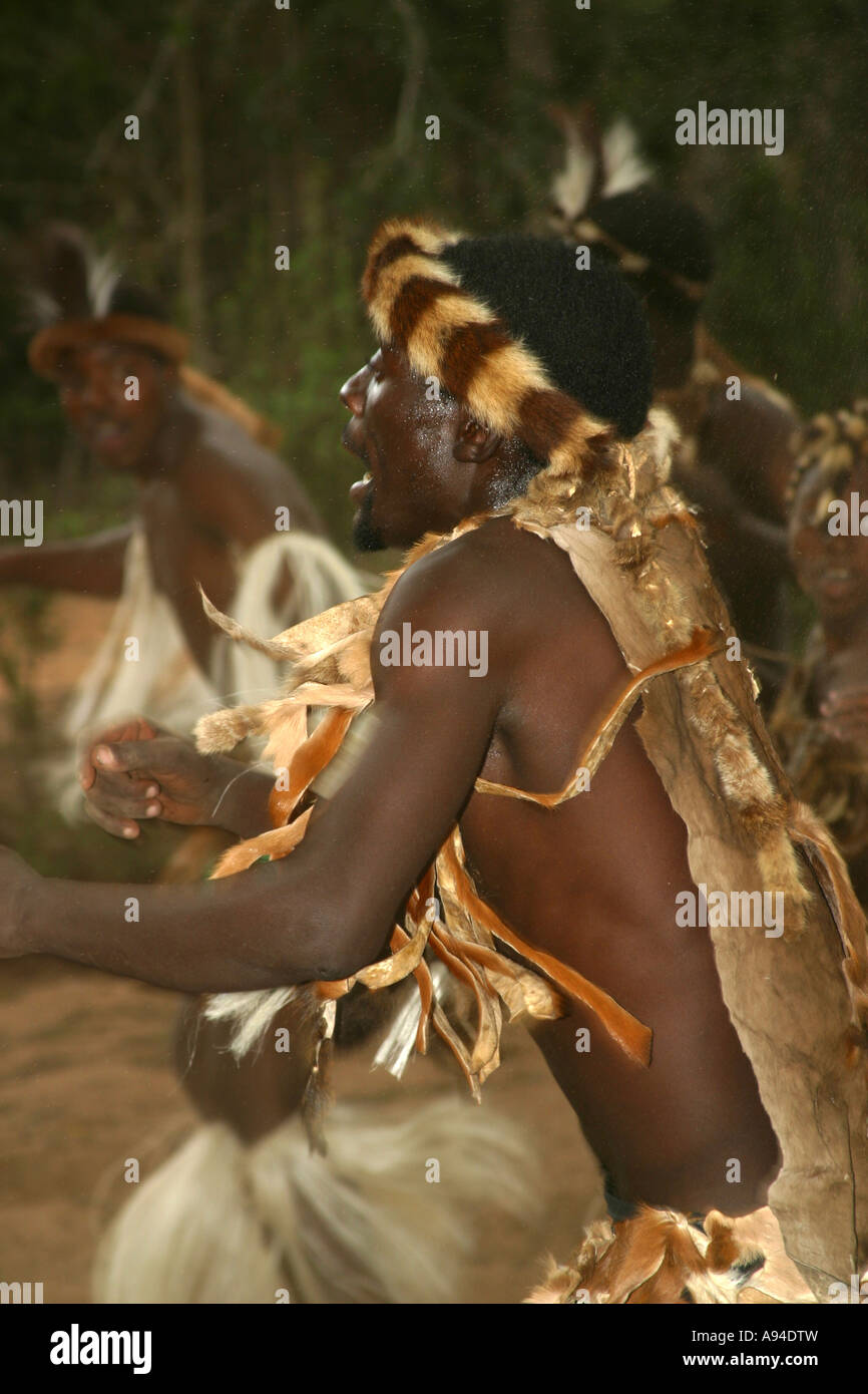 Tonga danzatori vestiti di pelle di animale abito in azione Maputaland Kwazulu Natal Sud Africa Foto Stock