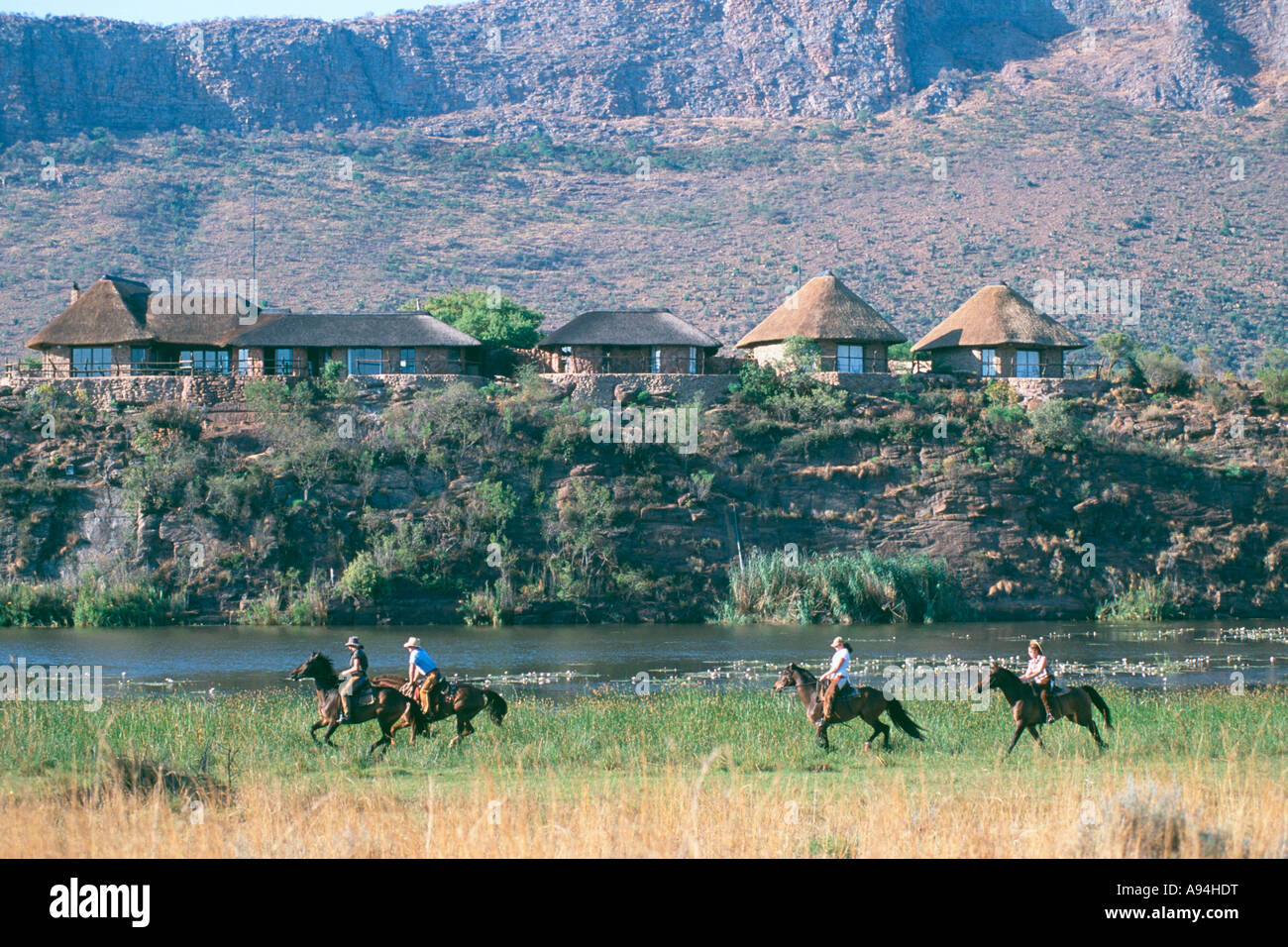 Gruppo di piloti del Cavallino passato cantering valutazione chalets in zona montuosa vicino a Warmbaths Limpopo Sud Africa Foto Stock