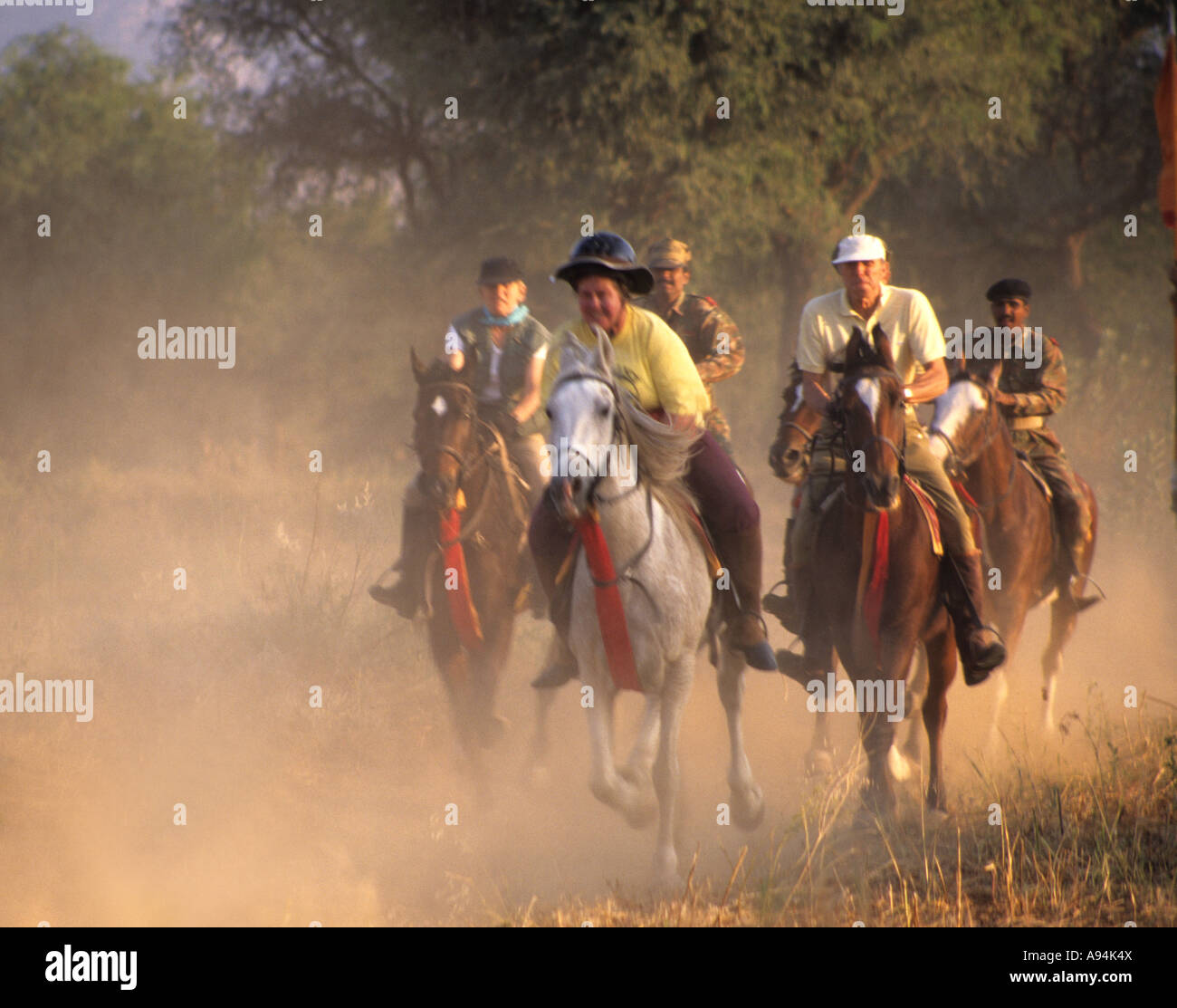 I piloti d'oltremare utilizzare cavalli Marwari , la razza locale, per una vacanza galoppo attraverso il Rajasthan rurale, India. Foto Stock