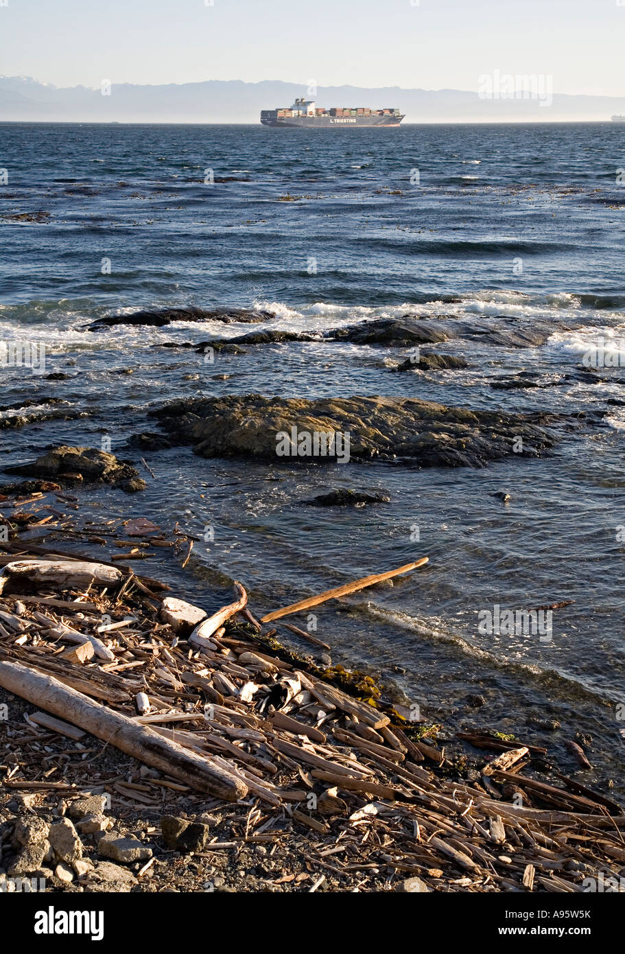 Container offshore Victoria Vancouver Island in Canada Foto Stock