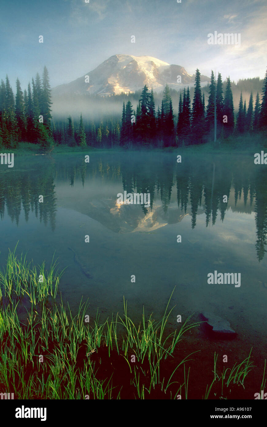 Mt Rainier riflessa nei laghi di riflessione Foto Stock