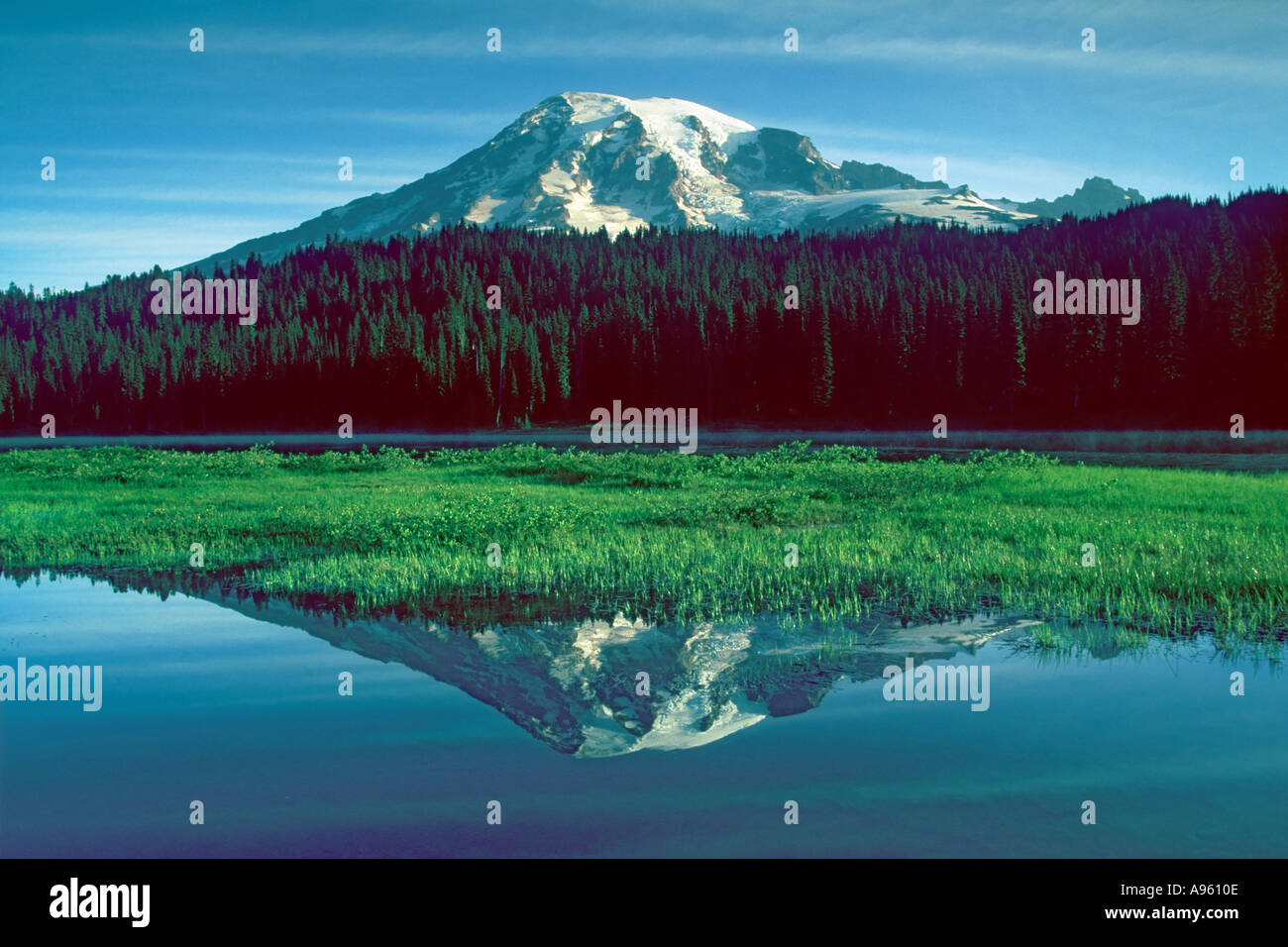 Mt Rainier riflessa nei laghi di riflessione Foto Stock