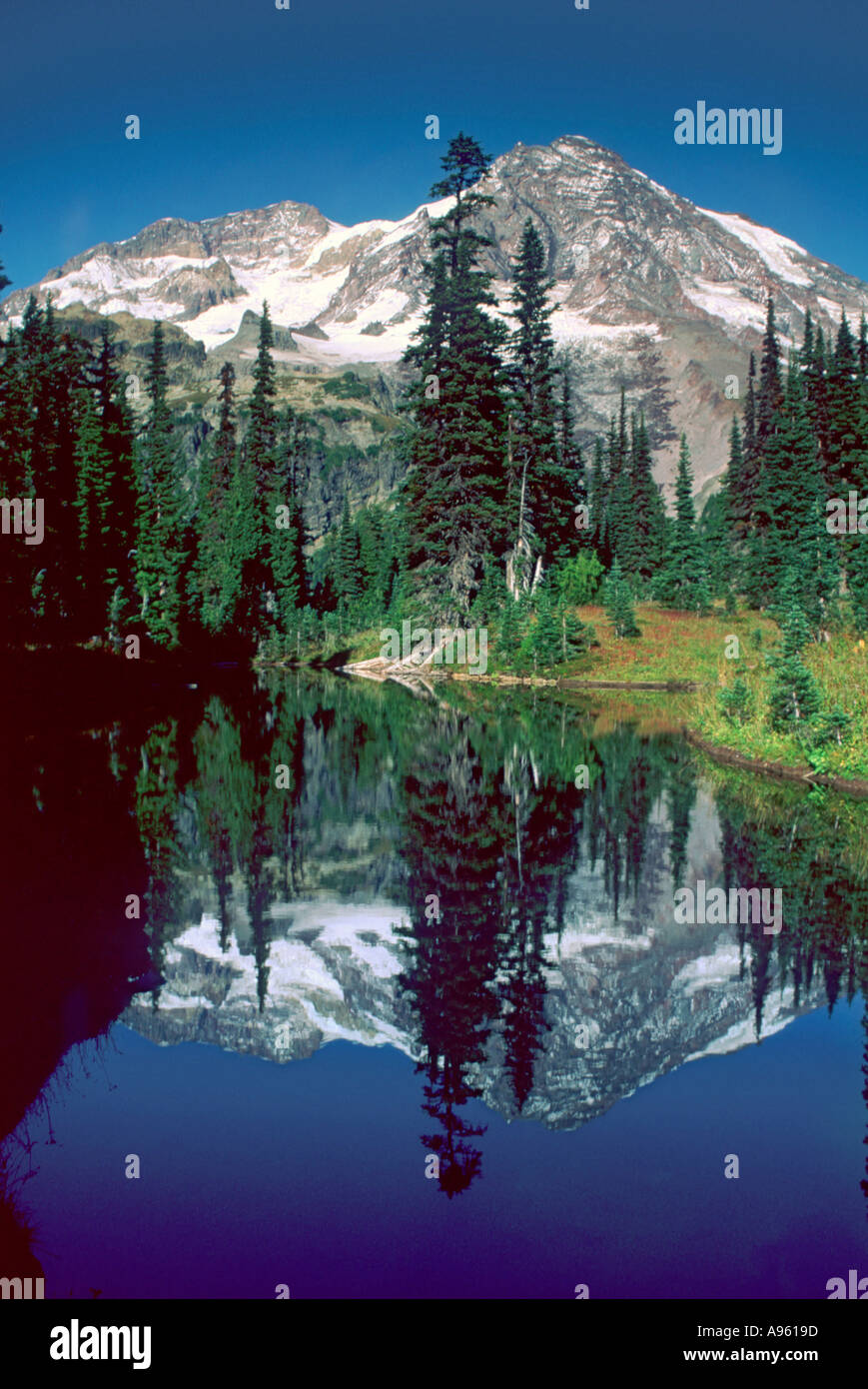 Mt Rainier riflessa nel lago a specchio Foto Stock