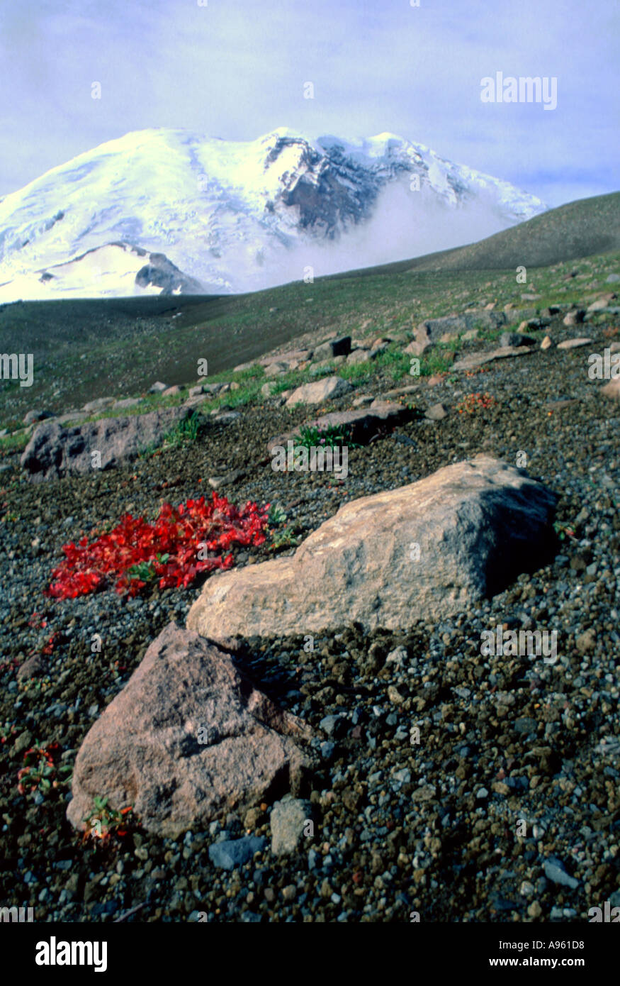 Mt Rainier picchi di Burroughs Mountain Foto Stock