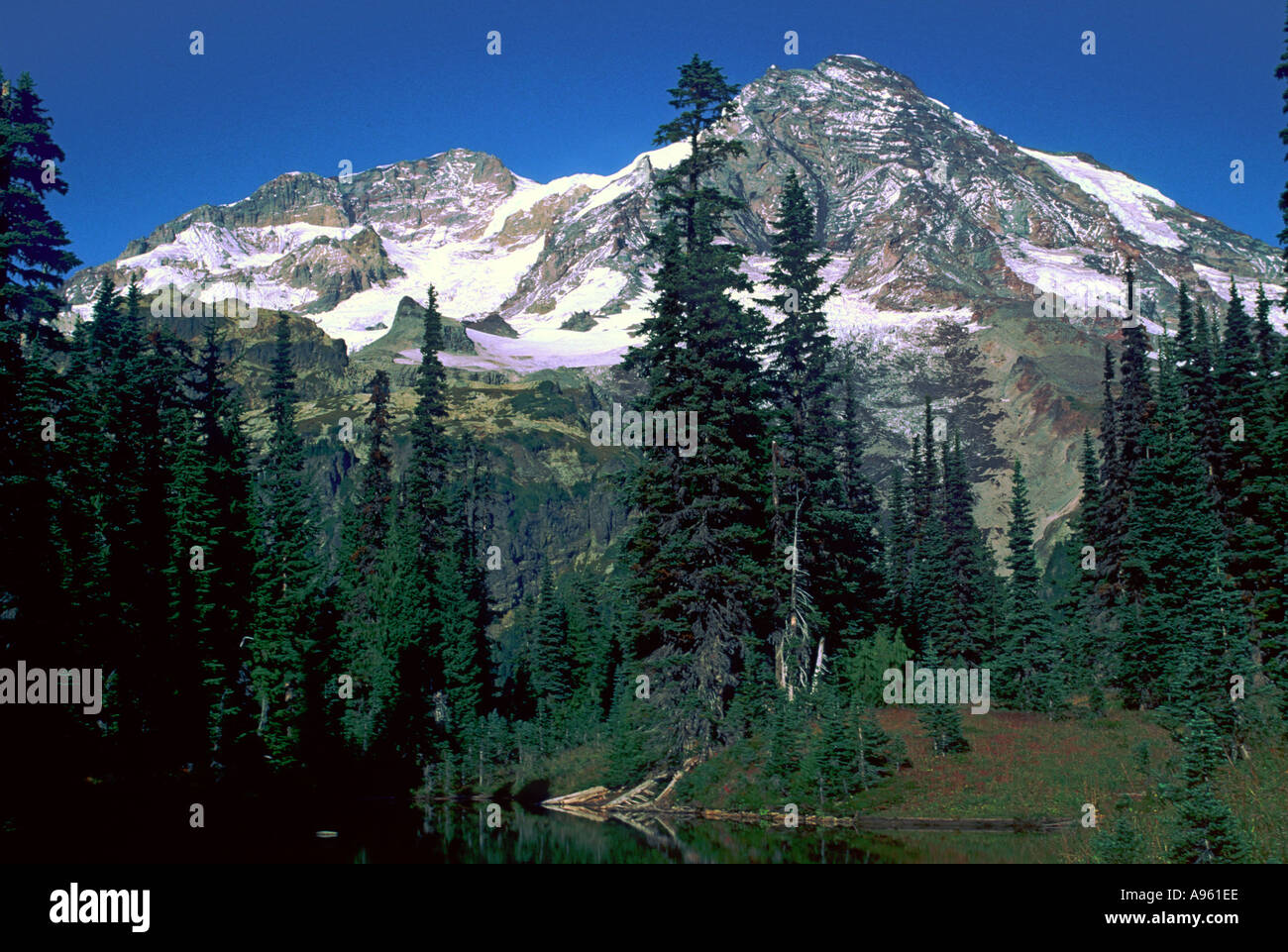 Mt Rainier Foto Stock