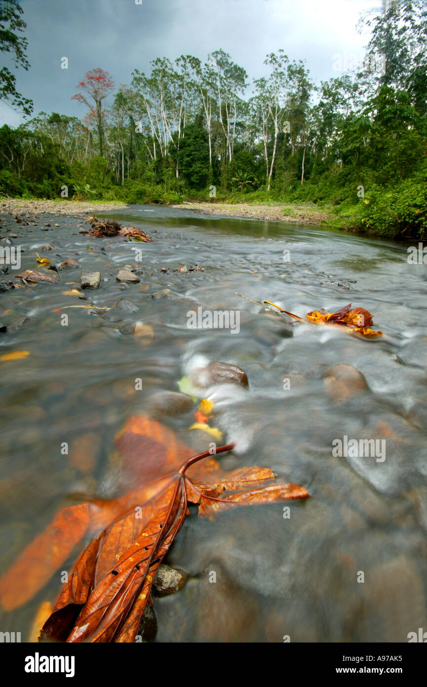 Darien paesaggio con il fiume Seteganti vicino Cana Field Station, Darien parco nazionale, provincia Darien, Repubblica di Panama, America Centrale. Foto Stock