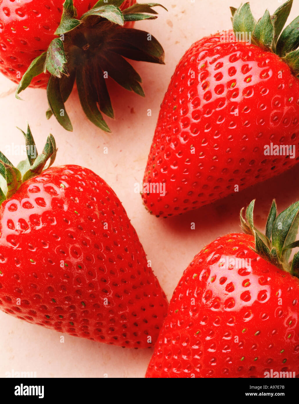 Agricoltura - Extreme closeup di fragole mature, in studio / STATI UNITI D'AMERICA. Foto Stock