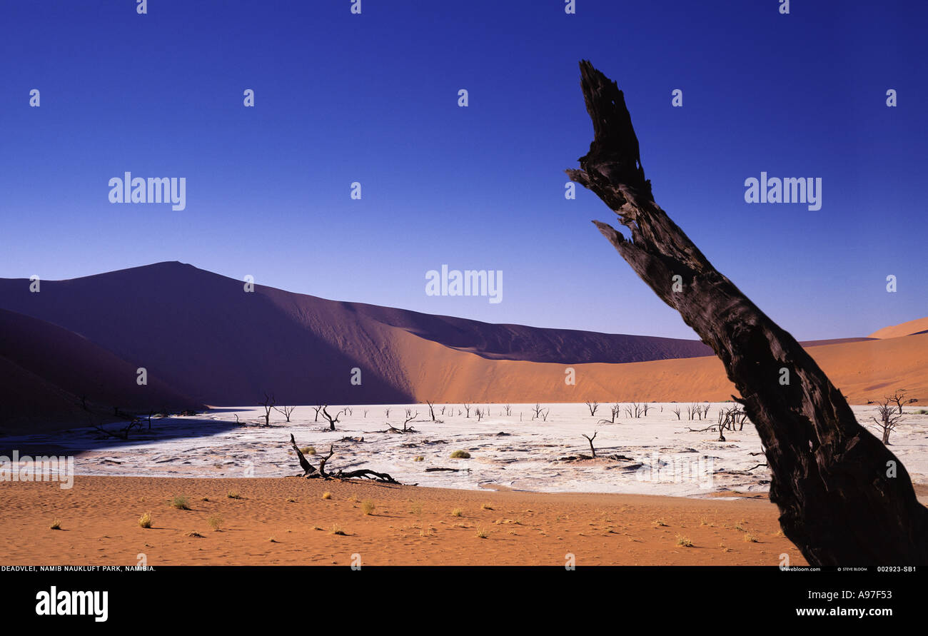 Deserto del Namib Africa Foto Stock