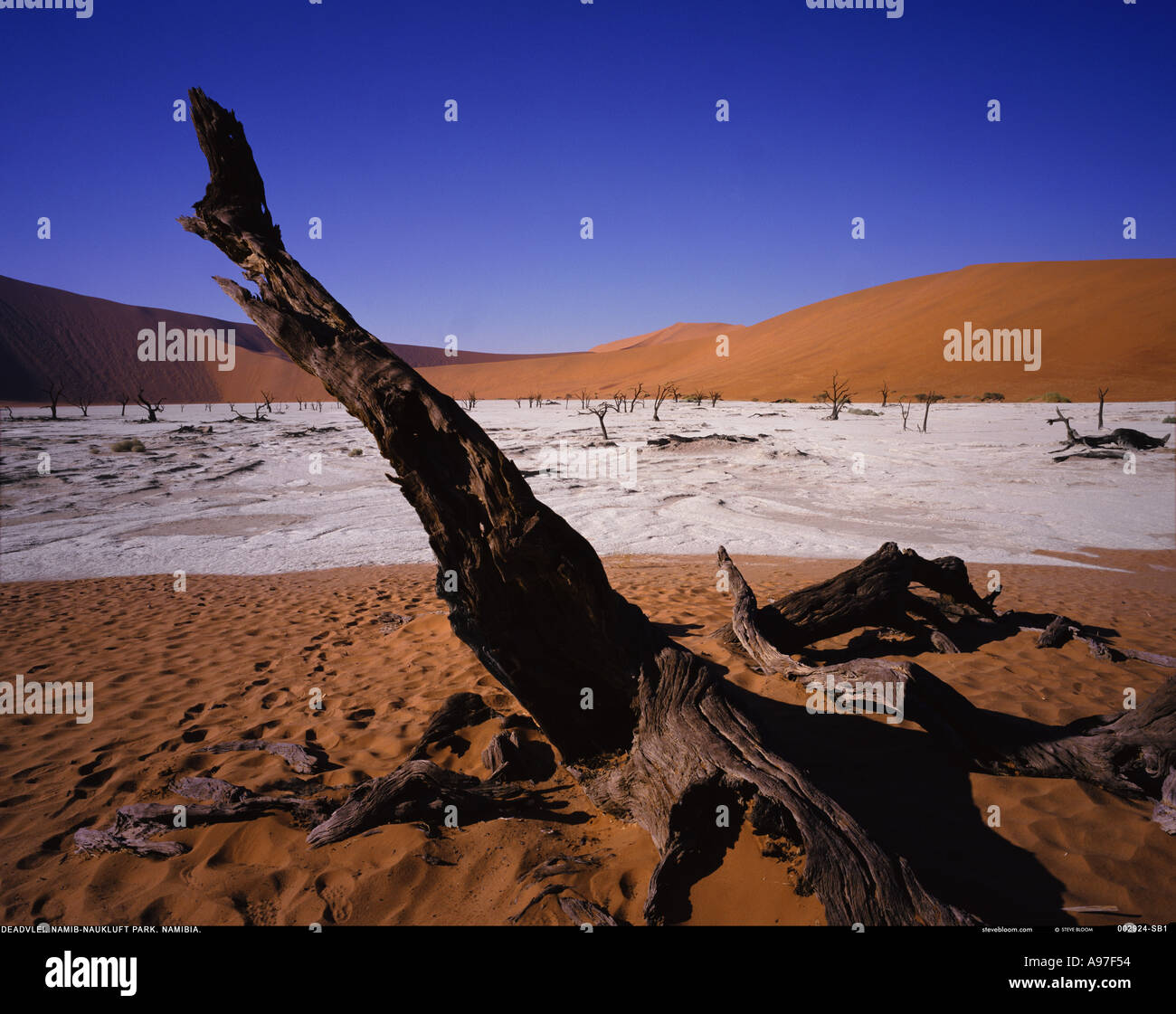 Deserto del Namib Africa Foto Stock
