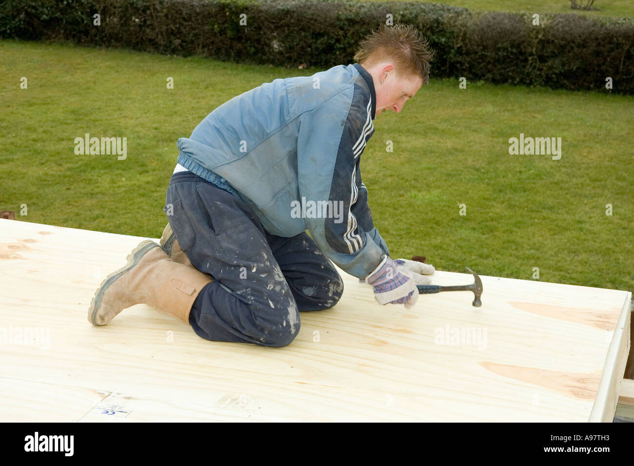 Un falegname di chiodatura, fogli di legno per formare un tetto piatto Foto Stock