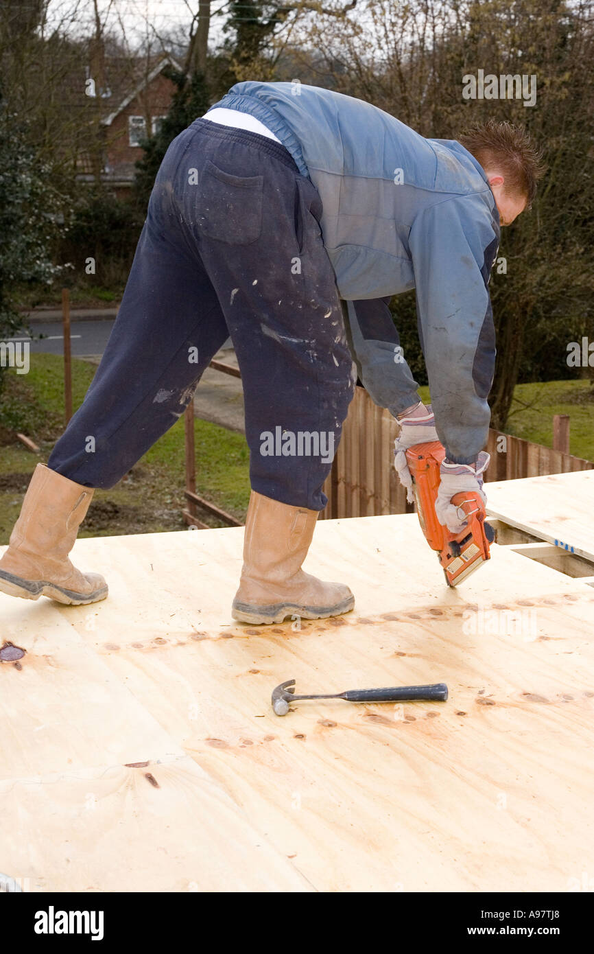 Un falegname utilizzando una pistola sparachiodi per tenere giù i fogli di legno per formare un tetto piatto Foto Stock