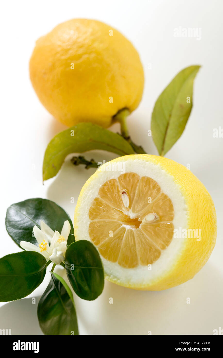 I limoni con foglie e blossom FoodCollection Foto Stock