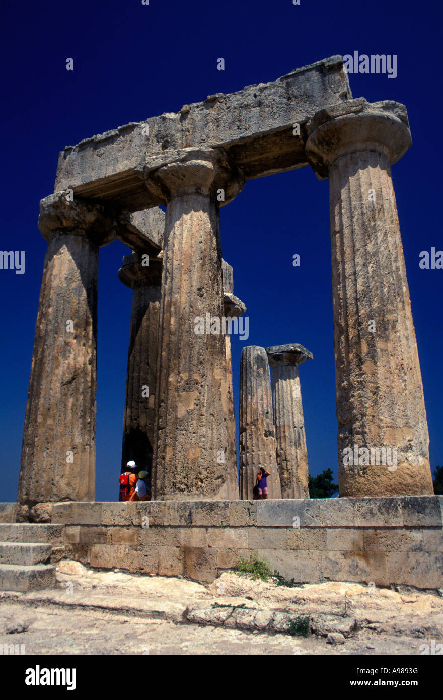 Tempio di Apollo, VI secolo A.C., Corinto, Peloponneso e Grecia, Europa Foto Stock