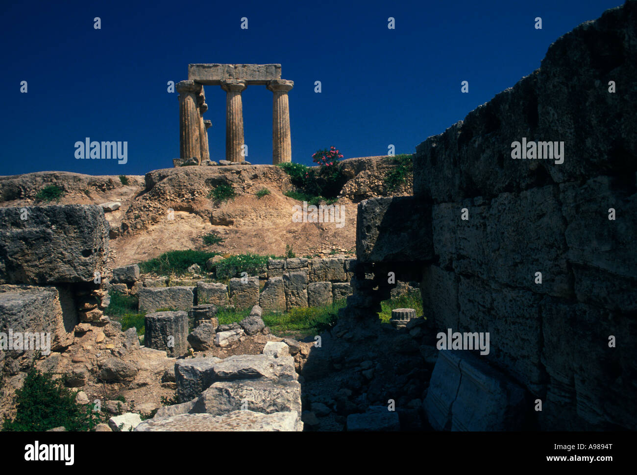 Tempio di Apollo, VI secolo A.C., Corinto, Peloponneso e Grecia, Europa Foto Stock