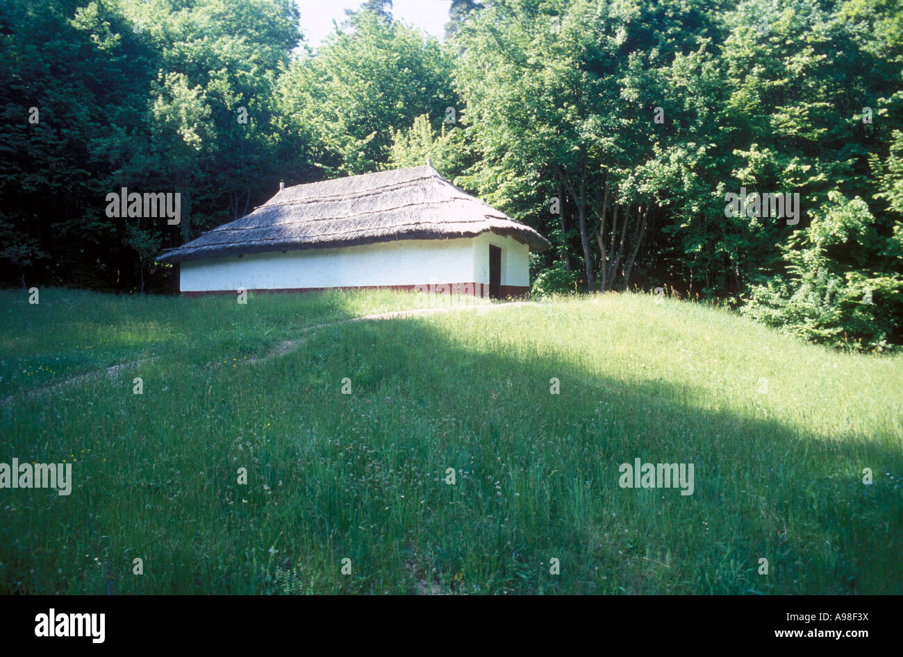 Vigneto bianco premere casa con tetto di paglia sulla piccola collina in Transilvania museo folk. Foto Stock