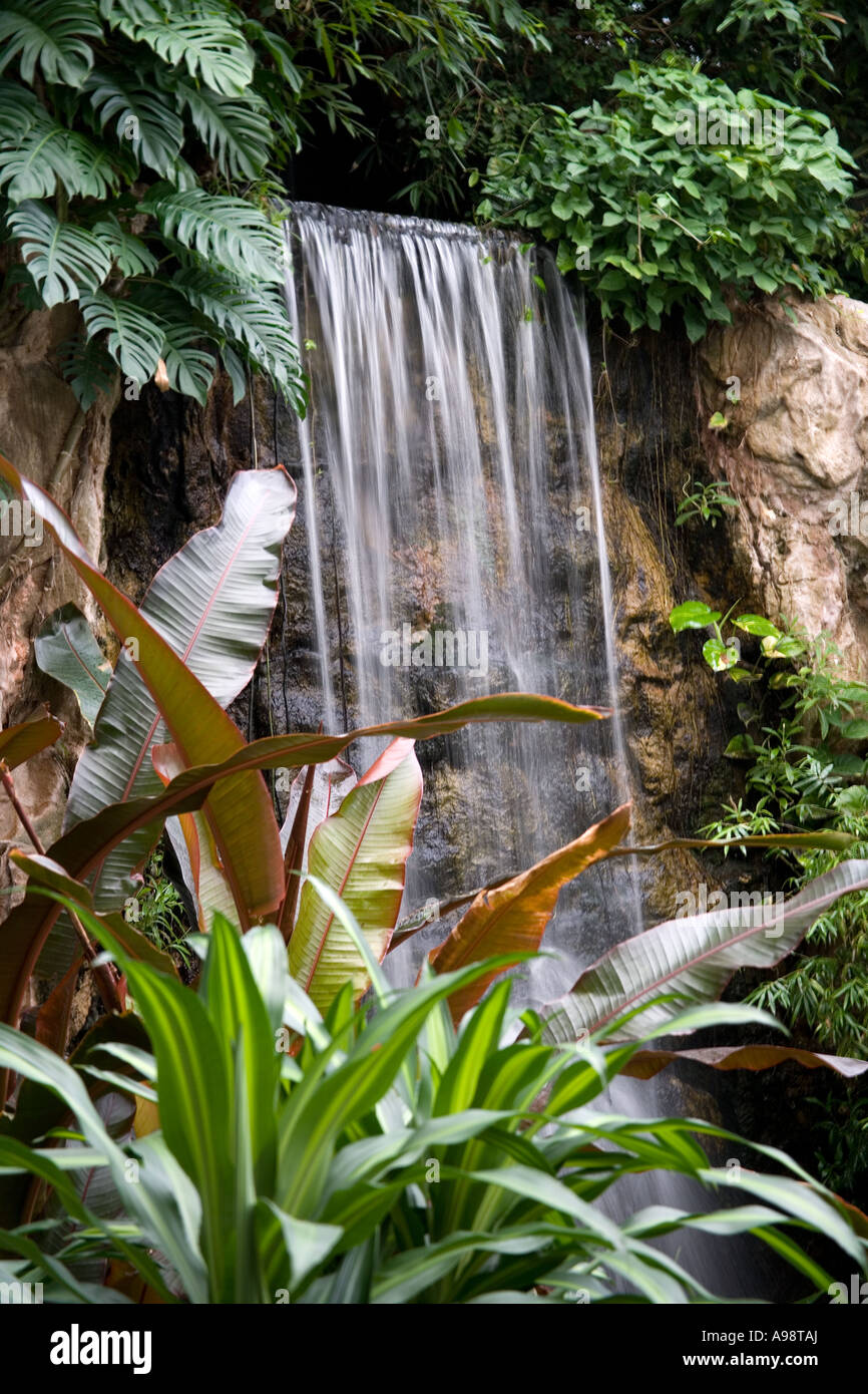 Thai ornamentali botanico Giardino formale in base al Dusit Resort hotel a Pattaya, nel sud della Thailandia Foto Stock