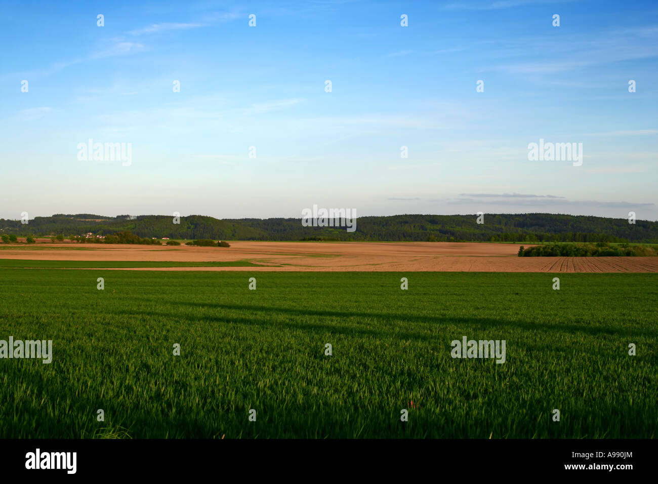 Tranquillo paesaggio rurale con campi verdi di grano in primo piano e arati che si estendono fino a colline boscose sotto un cielo azzurro Foto Stock