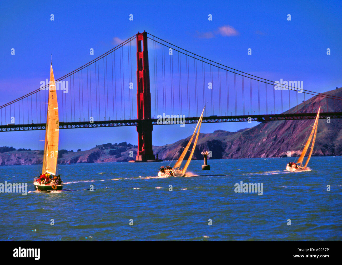 Yacht Race vicino al Golden Gate Bridge di San Francisco California USA Foto Stock