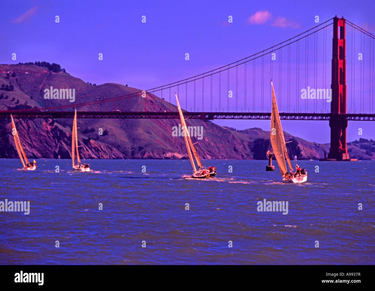 Yacht Race vicino al Golden Gate Bridge di San Francisco California USA Foto Stock