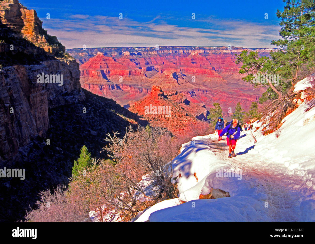 Il bright angel trail grand canyon arizona usa Foto Stock