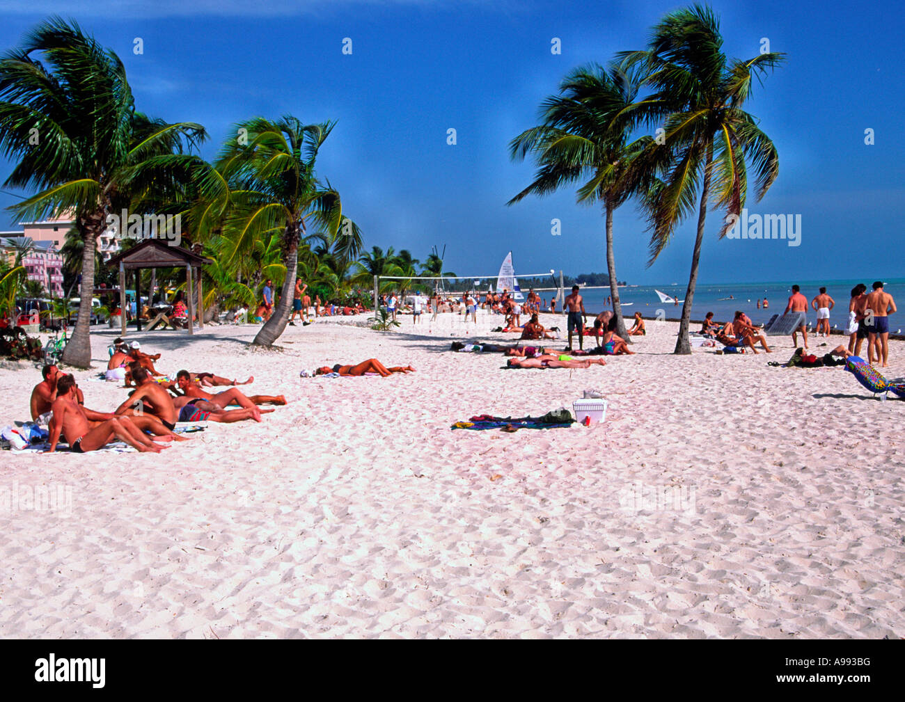 Bosone di Higgs Beach a Key West, Florida Keys, Florida, Stati Uniti d'America Foto Stock