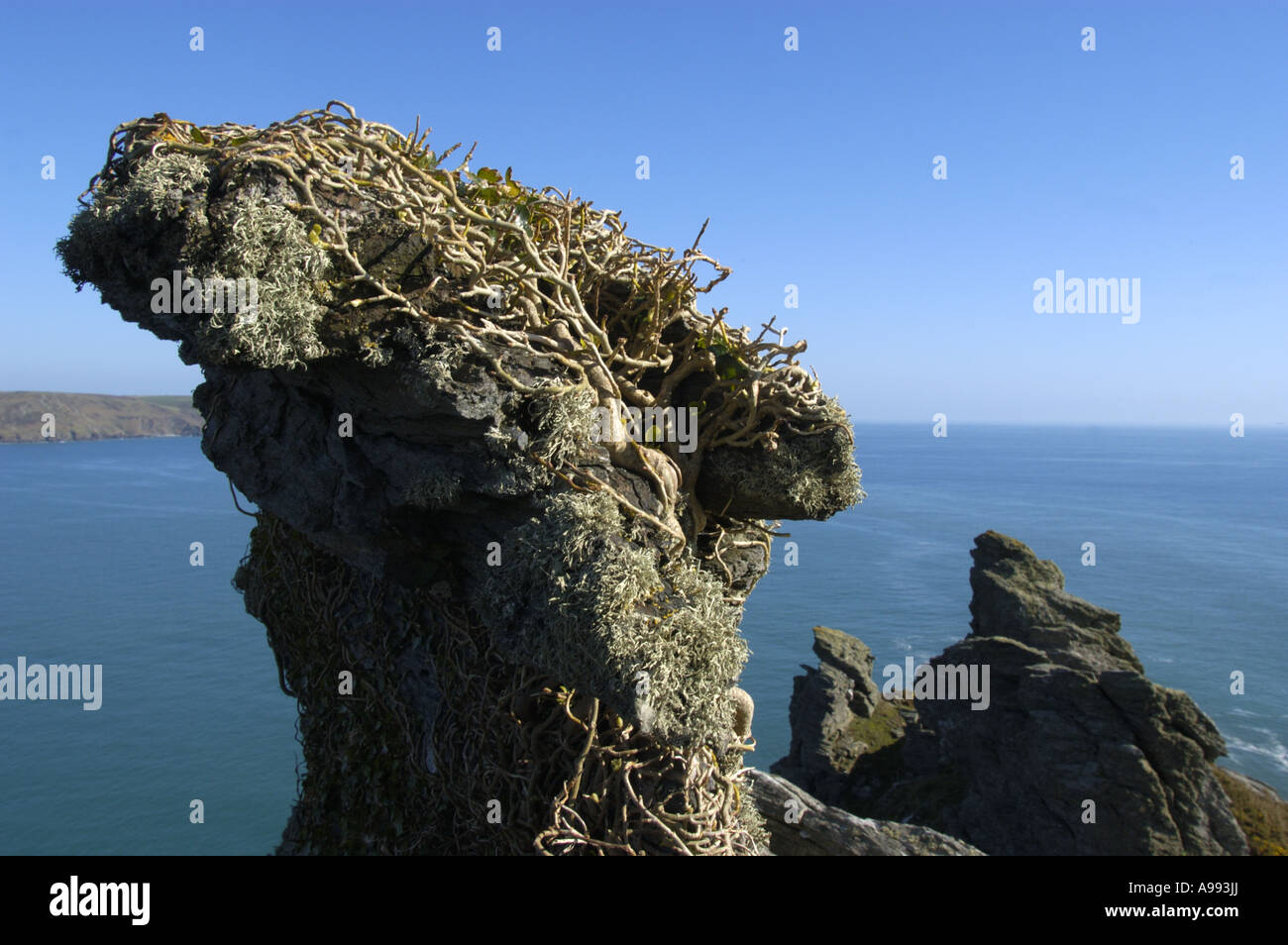 Le formazioni rocciose in Starehole Bay nei pressi di testa della vite lungo la costa sud occidentale nel South Devon England Foto Stock