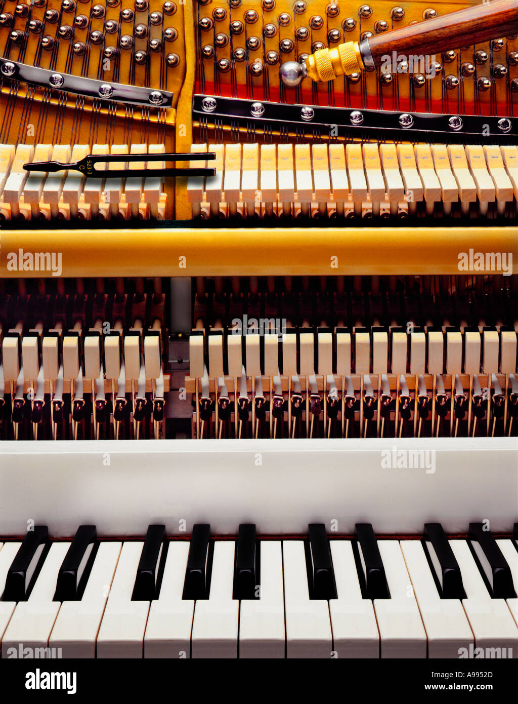 Una tastiera di pianoforte e il funzionamento interno e i meccanismi di un  pianoforte Foto stock - Alamy