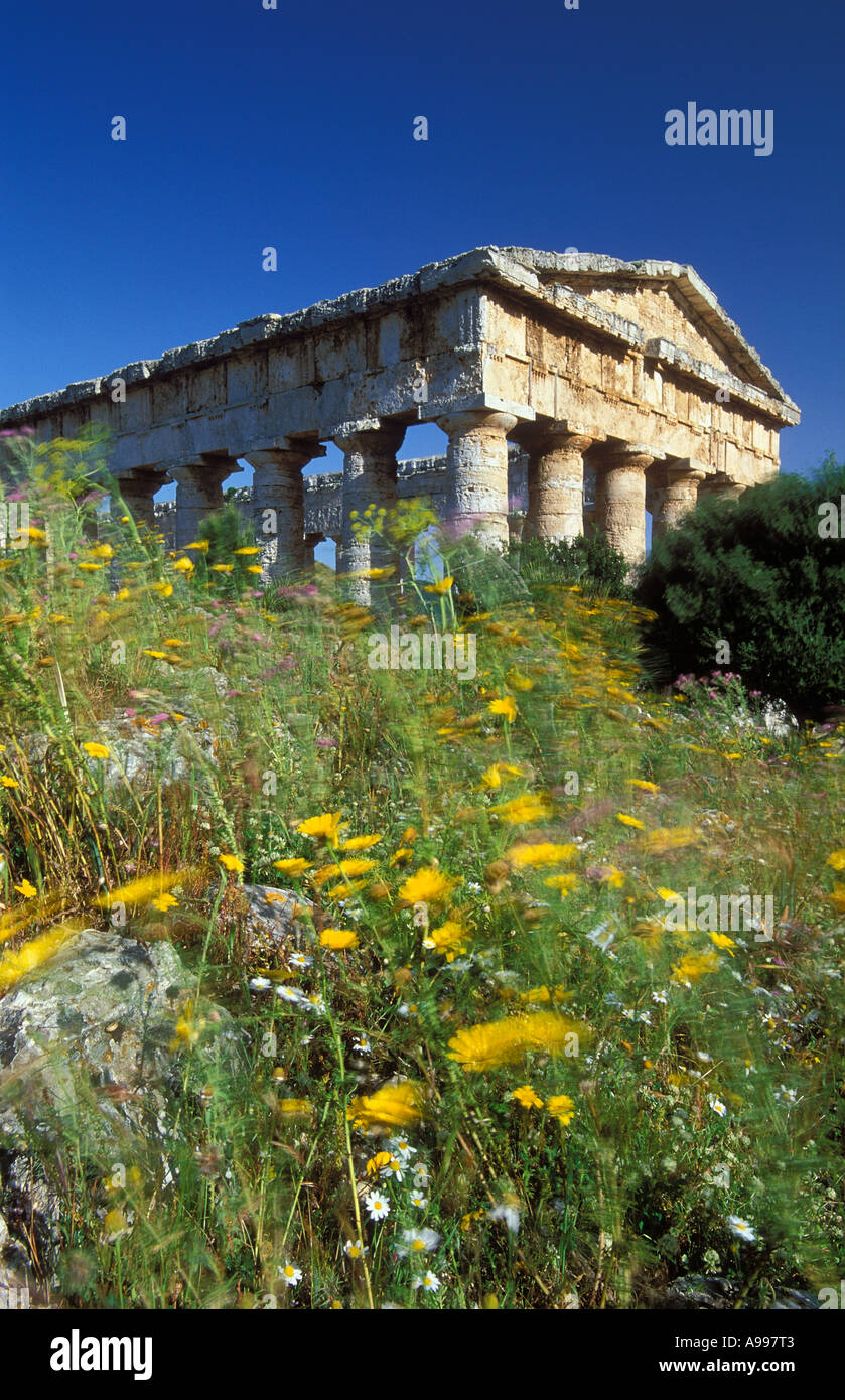 Greco tempio dorico a Segesta Sicilia Italia Foto Stock