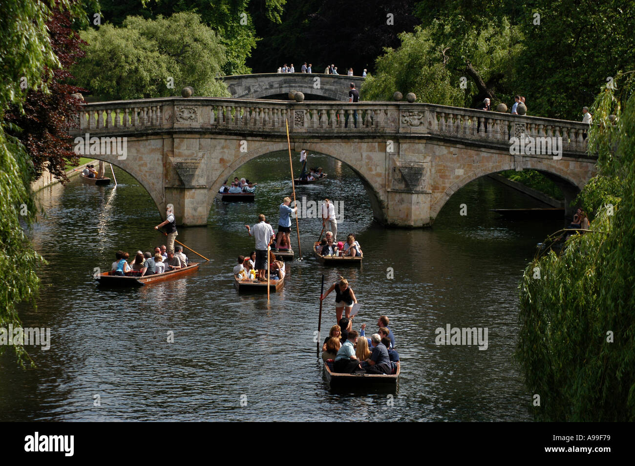 Cambridge, Inghilterra. Punting sul fiume Cam lungo le spalle sotto il ponte di Chiara nella città universitaria di Cambridge, Inghilterra. Foto Stock