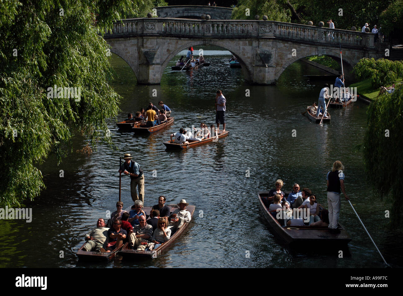 Cambridge, Inghilterra. Punting sul fiume Cam lungo il dorso nella città universitaria di Cambridge, Inghilterra. Foto Stock