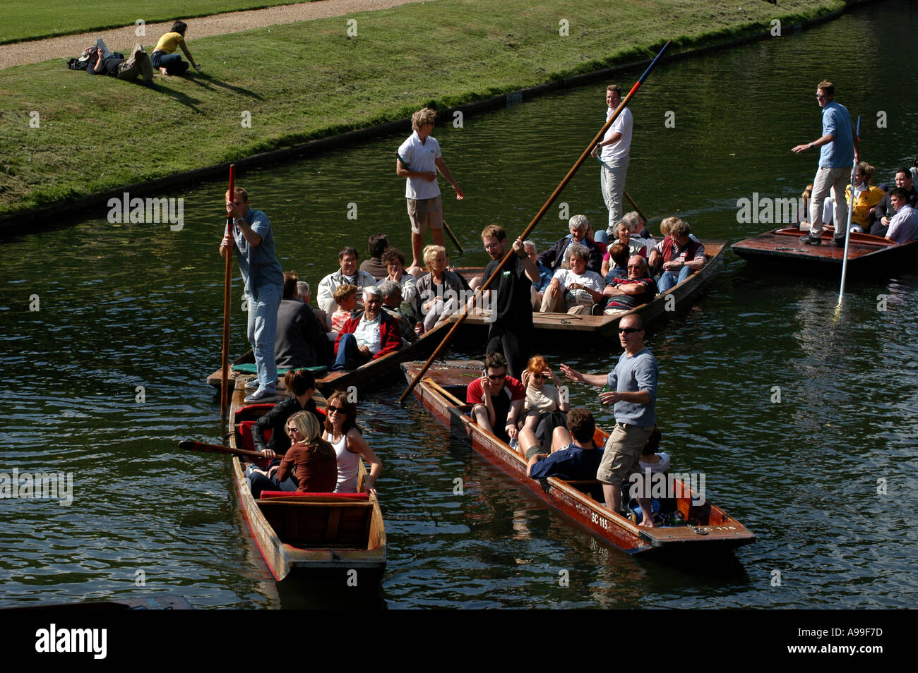 Cambridge, Inghilterra. Punting sul fiume Cam lungo il dorso nella città universitaria di Cambridge, Inghilterra. Foto Stock