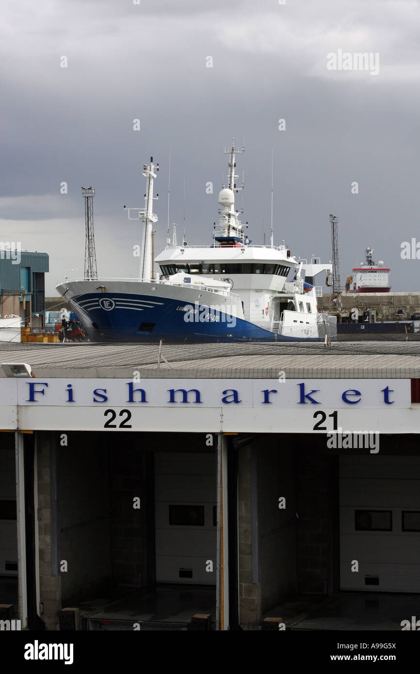 Il mercato del pesce al porto a Peterhead, Aberdeenshire, Scozia che è il Regno Unito leader di pesce bianco porta. Foto Stock