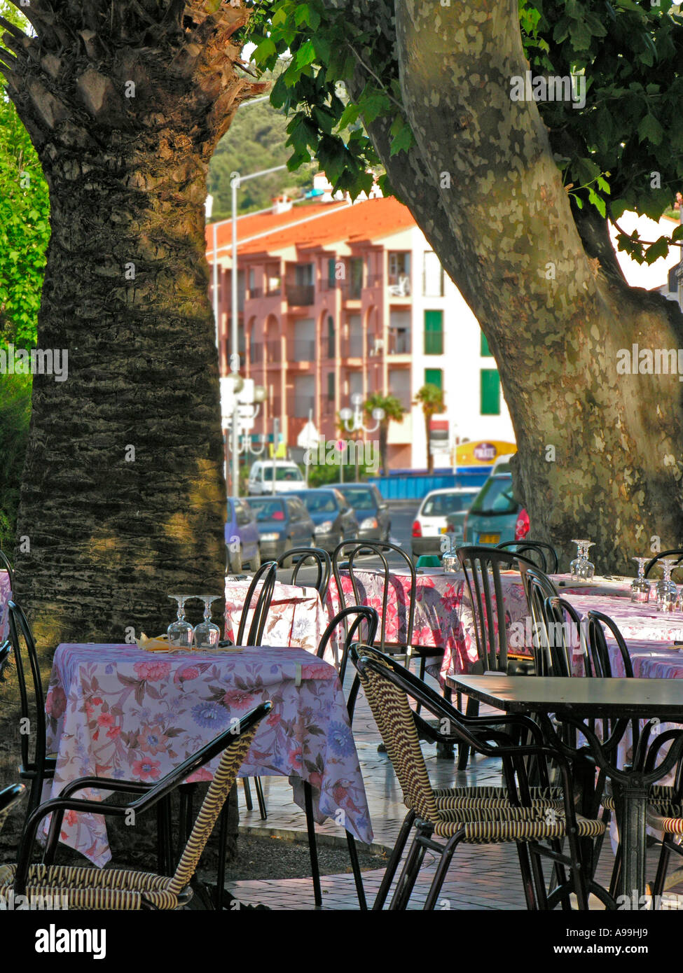 Vuoto ristorante outdoor cafe all'ombra di grandi alberi in Banyuls Francia Foto Stock