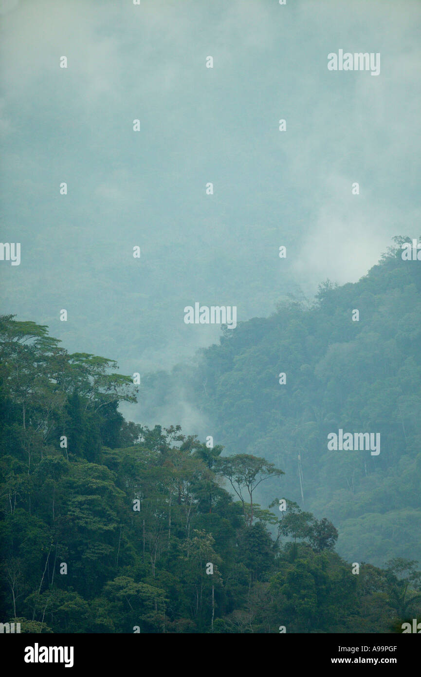 Misty rainforest vicino a Cana nel Parco Nazionale del Darién, provincia di Darien, Repubblica di Panama. Foto Stock