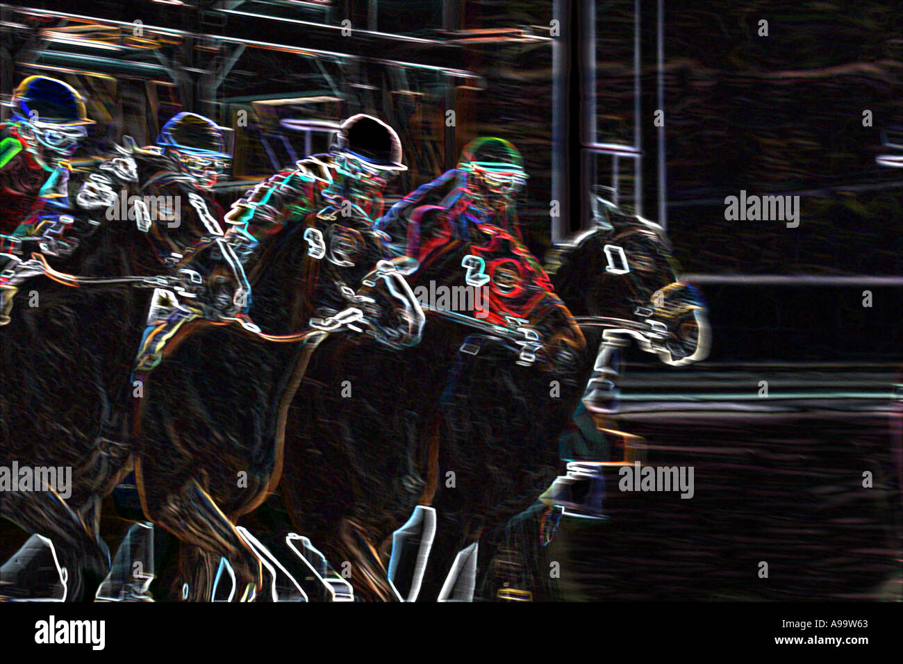 Cavalli Purosangue RACING Calgary Alberta Canada Foto Stock