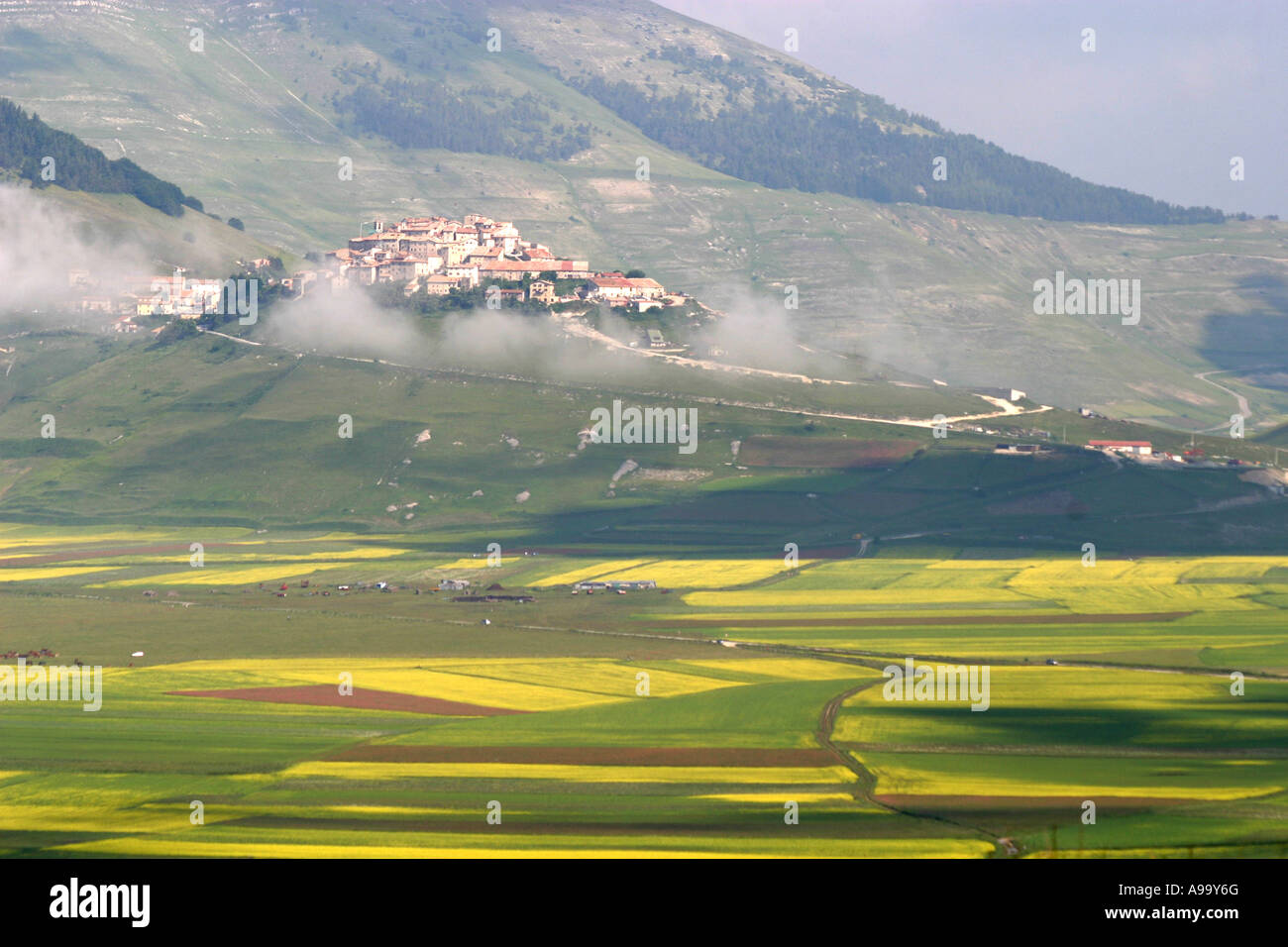Fiori Selvatici che conduce fino a Castelluccio nel Piano Grande ,Parco Nazionale dei Monti Sibillini,Le Marche Italia Foto Stock