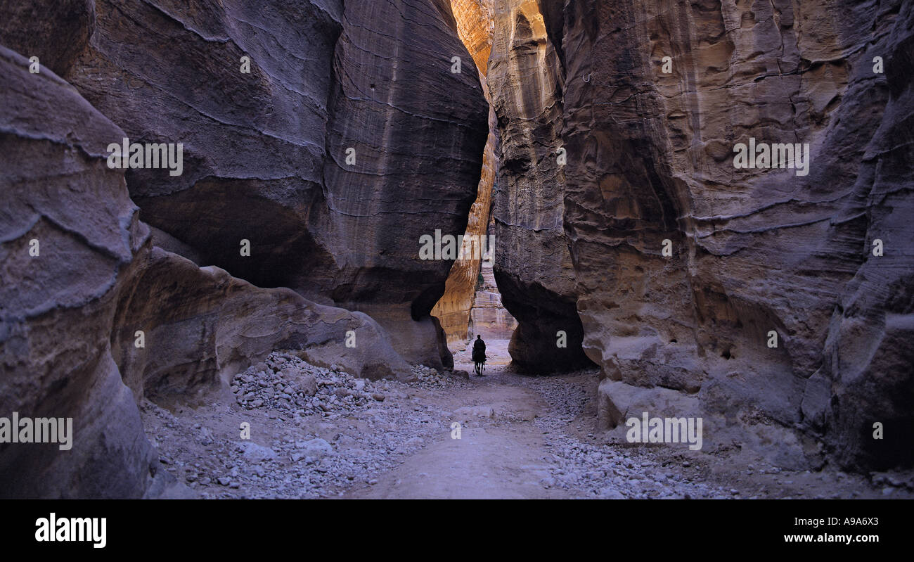 Solitario cavaliere a cavallo seguendo il percorso attraverso la stretta gola del Siq verso la mitica città di Petra in Giordania Foto Stock