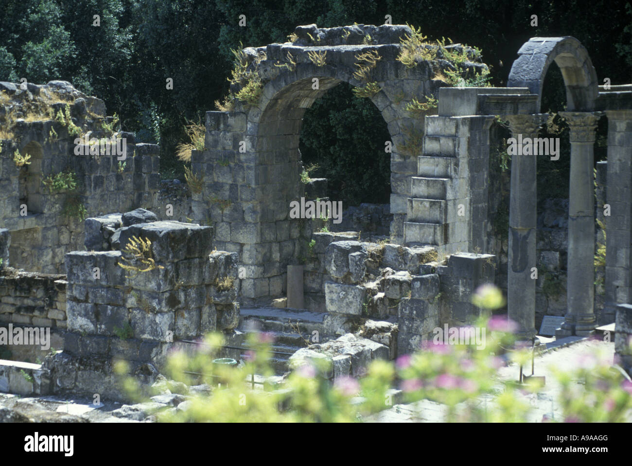 Bagni Romani HAMMAT GADER GOLAN ISRAELE Foto Stock