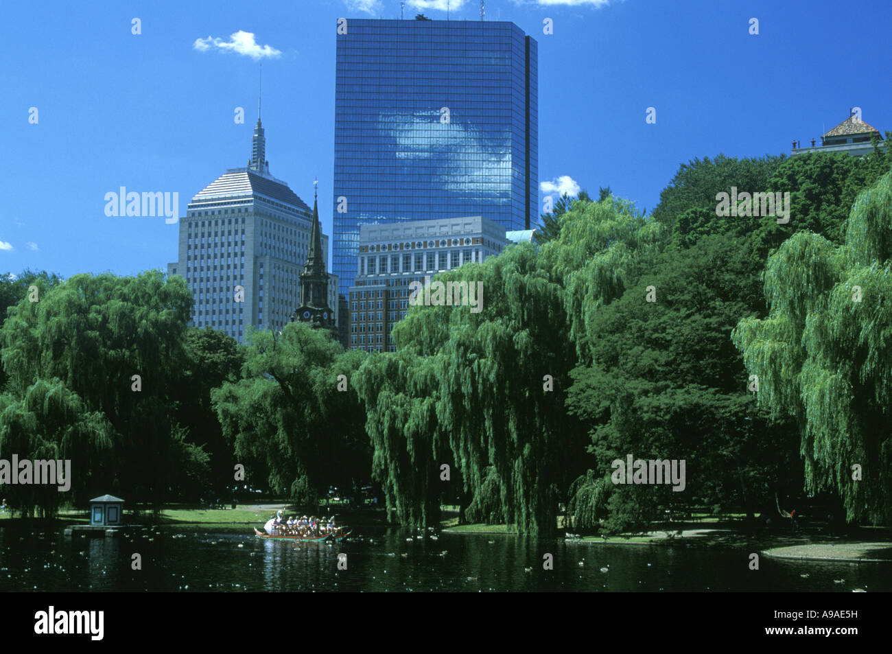 POND BOSTON PUBLIC GARDEN BOSTON MASSACHUSSETTS USA Foto Stock